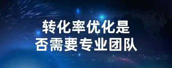 转化率优化是否需要专业团队？