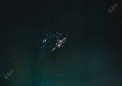 python中两个中括号代表什么