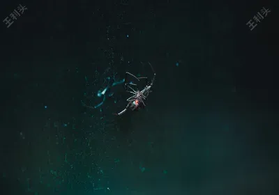 销售的b端和c端是什么意思