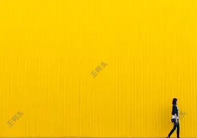 前端转python和golang哪个好