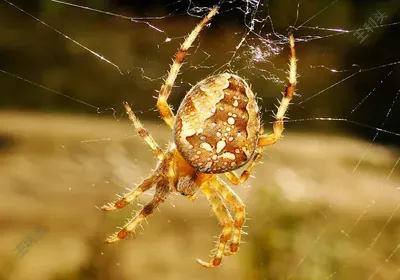 数据分析法主要包括哪些内容和方法
