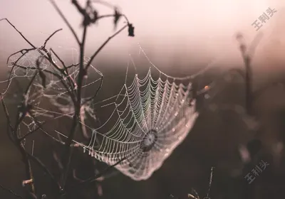 windows商店里面安装的python如何删除