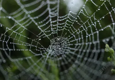 python中num+ 1是什么意思